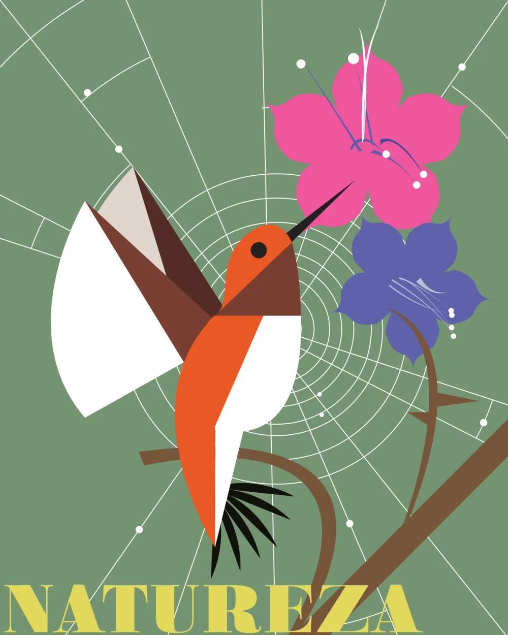 Stylized poster of an orange hummingbird near pink and purple flowers, with the text "Natureza".